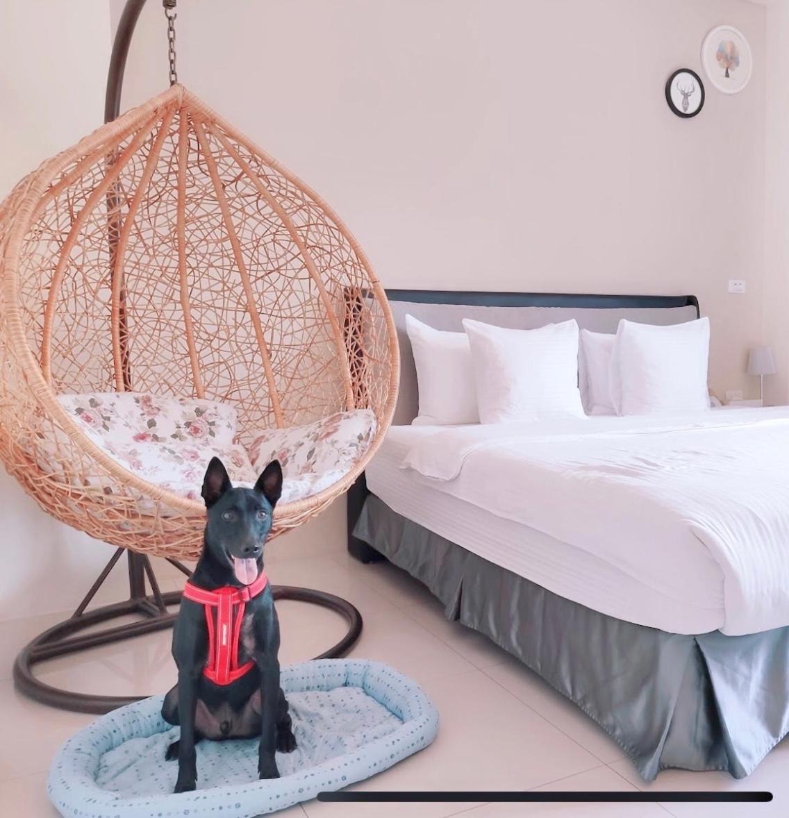 Happy Fat B&B 寵物友善 Taitung Екстериор снимка